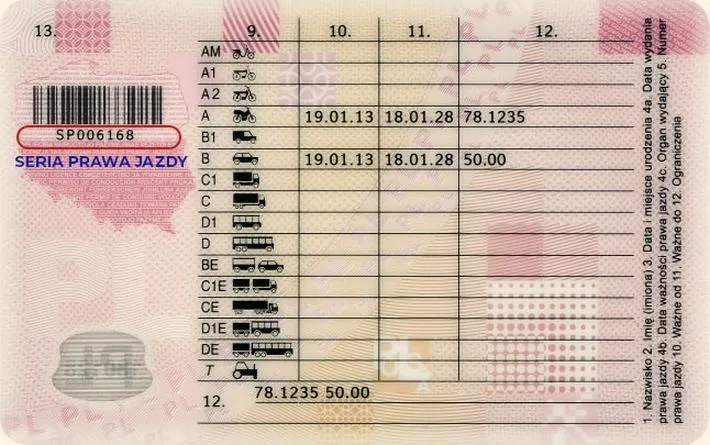 Prawo jazdy: gdzie znaleźć numer blankietu i jak go rozpoznać?