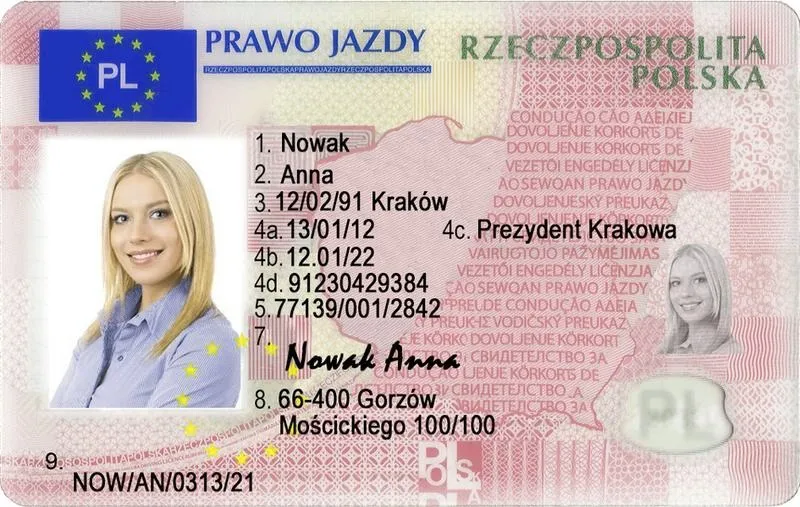 Zgubiłem prawo jazdy — czy mogę jeździć autem? Co dalej