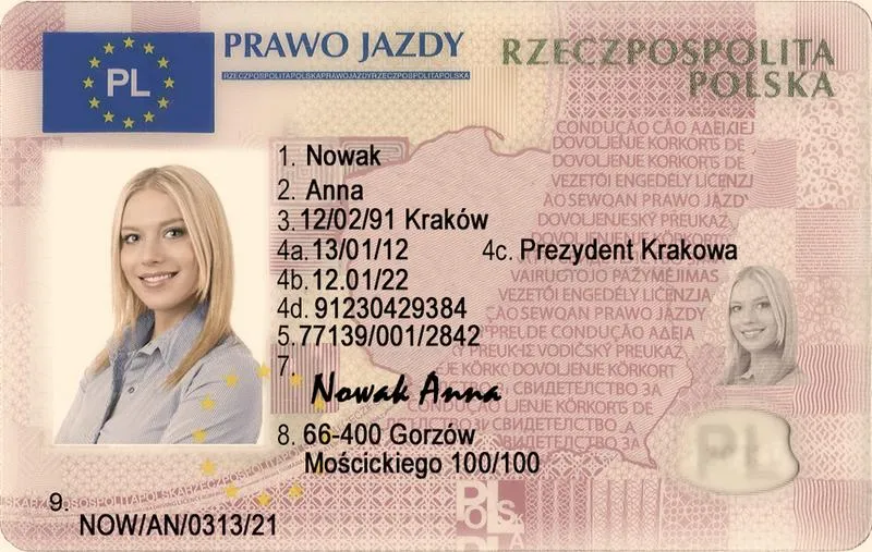 Legalna droga do prawa jazdy